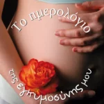 Το ημερολόγιο της εγκυμοσύνης μου