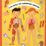 Ο ΑΤΛΑΝΤΑΣ ΤΟΥ ΑΝΘΡΩΠΙΝΟΥ ΣΩΜΑΤΟΣ