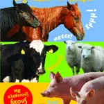 ΤΑ ΖΩΑΚΙΑ ΣΤΟ ΚΤΗΜΑ (ΜΕ ΦΩΤΟΓΡΑΦΙΕΣ)