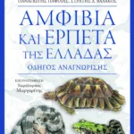 Αμφίβια και ερπετά της Ελλάδας. Οδηγός αναγνώρισης