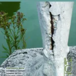 Περί τυφλότητος και άλλων δεινών