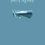 Μικτή τεχνική