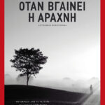 Όταν βγαίνει η αράχνη