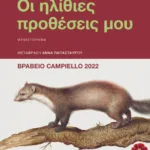 Οι ηλίθιες προθέσεις μου