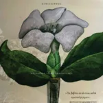 Θα 'ναι νύχτα στο Καράκας