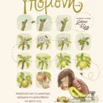 Υπομονή… Ανακάλυψε πώς τα ωραιότερα πράγματα στη φύση θέλουν τον χρόνο τους (Σειρά: «Στάσου, κοίτα...»)