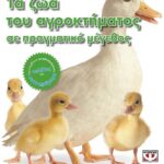 ΤΑ ΖΩΑ ΤΟΥ ΑΓΡΟΚΤΗΜΑΤΟΣ ΣΕ ΠΡΑΓΜΑΤΙΚΟ ΜΕΓΕΘΟΣ