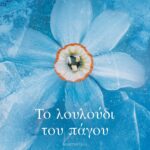 ΤΟ ΛΟΥΛΟΥΔΙ ΤΟΥ ΠΑΓΟΥ